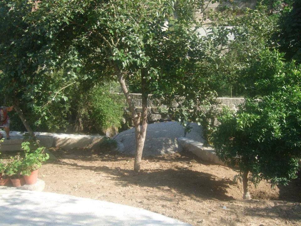 Casa Moinhos Do Rio Villa Paredes  Exterior photo